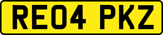 RE04PKZ