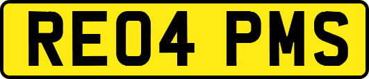 RE04PMS