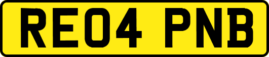 RE04PNB