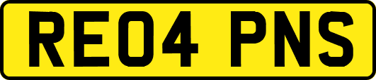 RE04PNS