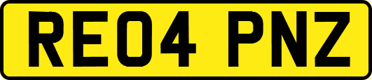 RE04PNZ