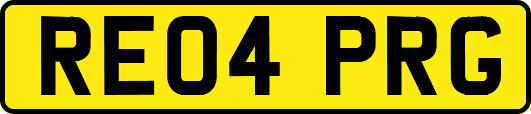 RE04PRG