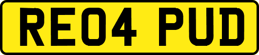RE04PUD