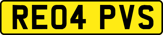 RE04PVS