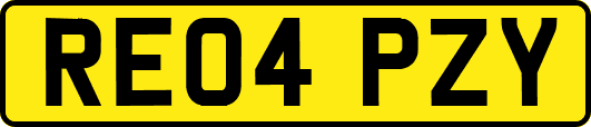 RE04PZY
