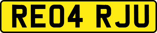 RE04RJU