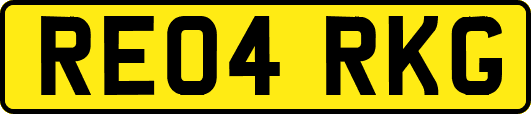 RE04RKG
