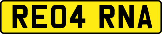 RE04RNA