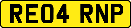 RE04RNP