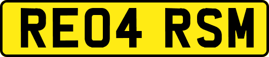 RE04RSM