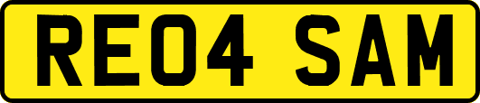 RE04SAM