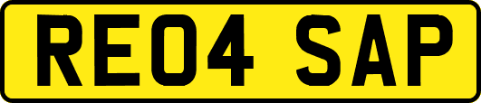RE04SAP
