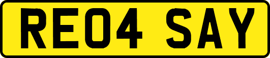 RE04SAY