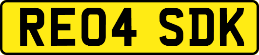RE04SDK
