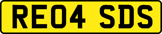 RE04SDS