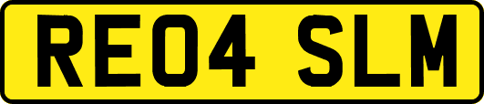 RE04SLM