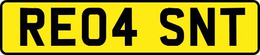 RE04SNT