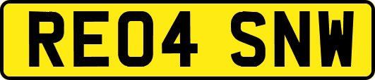 RE04SNW