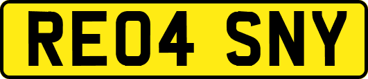 RE04SNY