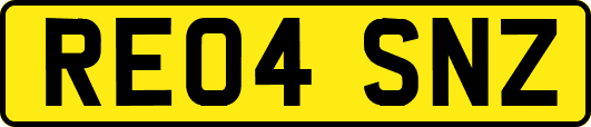 RE04SNZ