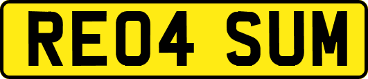 RE04SUM