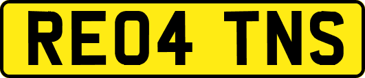RE04TNS
