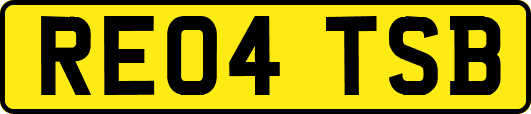 RE04TSB