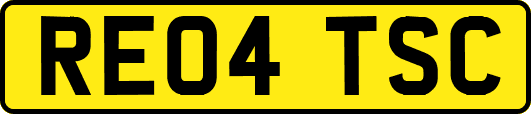 RE04TSC