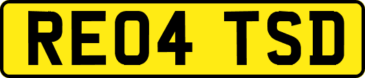 RE04TSD
