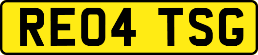 RE04TSG