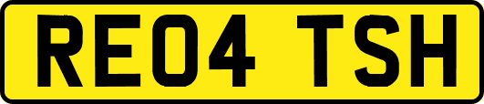 RE04TSH