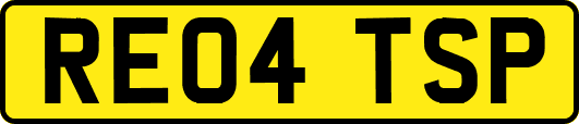 RE04TSP