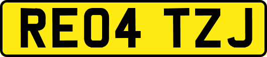 RE04TZJ