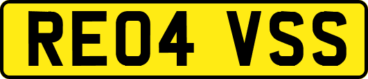 RE04VSS