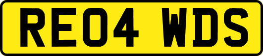 RE04WDS