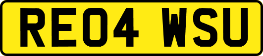 RE04WSU
