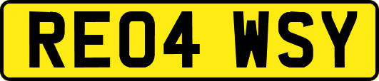 RE04WSY