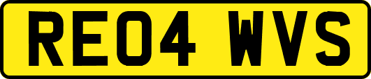RE04WVS