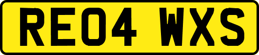 RE04WXS