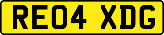 RE04XDG