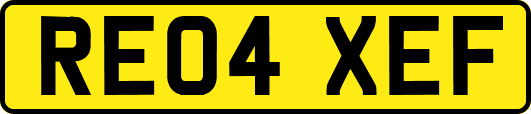 RE04XEF
