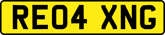 RE04XNG