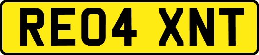 RE04XNT