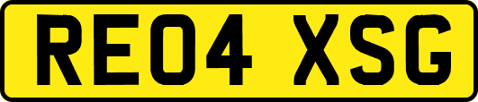 RE04XSG