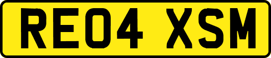 RE04XSM