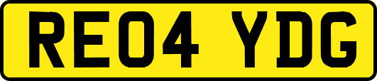 RE04YDG