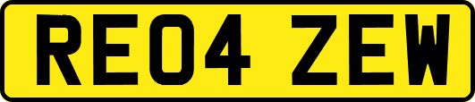 RE04ZEW
