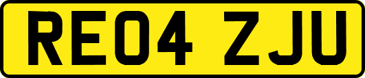 RE04ZJU