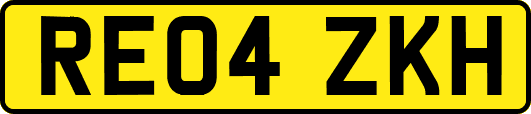 RE04ZKH