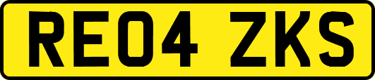 RE04ZKS